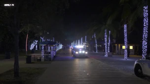 Polícia Cena Durante Férias — Vídeo de Stock