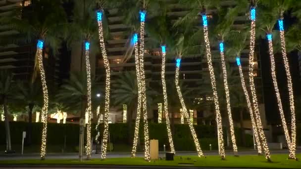 Vídeo Nocturno Palmeras Envueltas Con Luces Navideñas — Vídeos de Stock