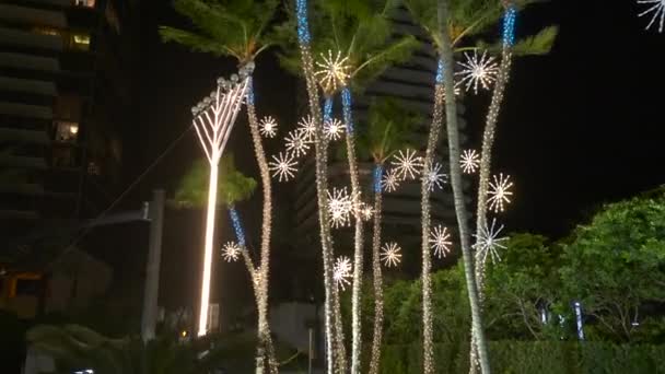 Night Motion Footage Holiday Decorations Bal Harbour Miami Beach Usa — Stock Video