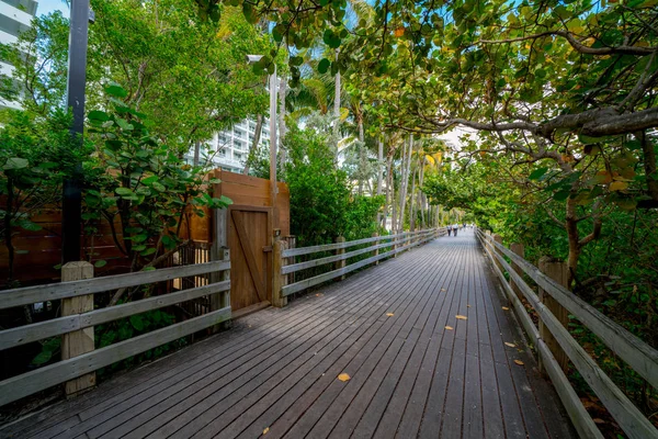 Promenada Miami Beach około 2019 roku — Zdjęcie stockowe
