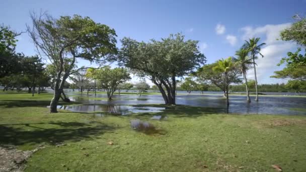 Orkaan Nasleep Overstromingen Natuur Landschap Miami Beach — Stockvideo