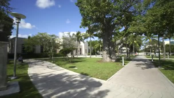 Basse Musée Art Miami Beach Collins Park — Video