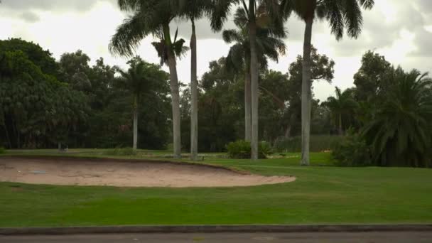 Golf Course Landscape Palm Trees — Stock Video