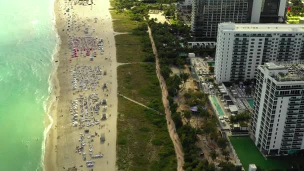 Affollata Miami Beach Dicembre 2019 — Video Stock