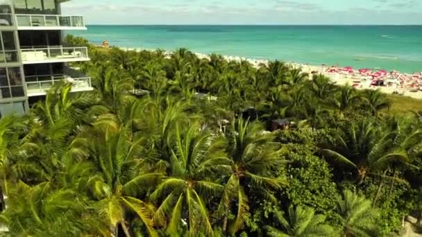 Hotel Deck Piscina Com Pessoas Nadando Miami Beach Eua — Vídeo de Stock