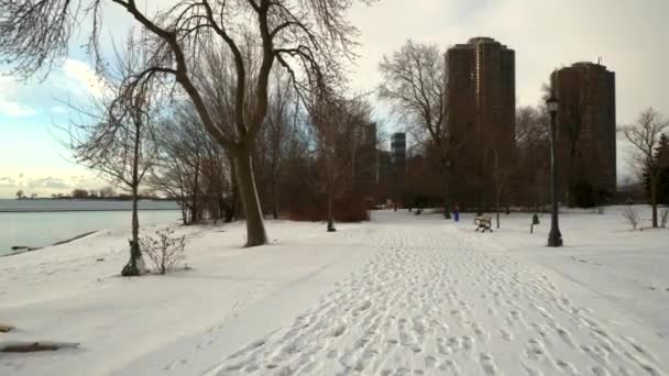 雪のある公園を歩く4K — ストック動画