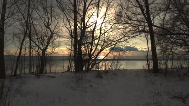 Gimbal Ustabilizowane Zdjęcia Natury Jeziora Ontario Ujawnić Między Drzewami — Wideo stockowe