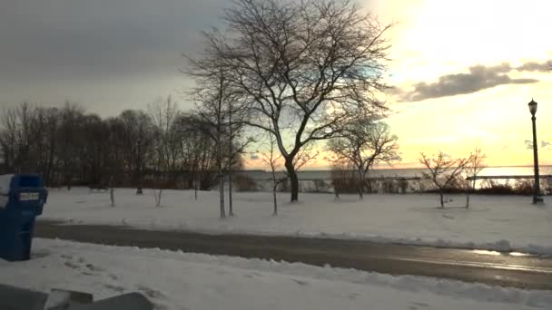 Winter Footage Sunnyside Park Toronto Ontario Canada — Stockvideo