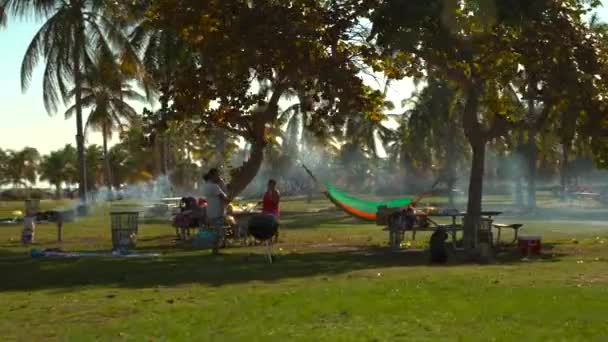 公園の運動ビデオの家族バーベキュー — ストック動画