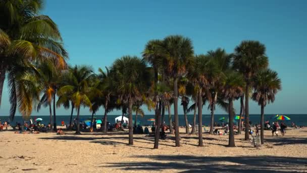 Diversão Verão Crandon Beach Miami — Vídeo de Stock