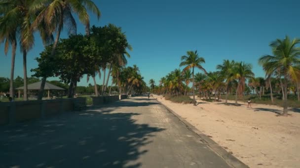 Crandon Beach Key Biscayne Florida Cena Tropical — Vídeo de Stock