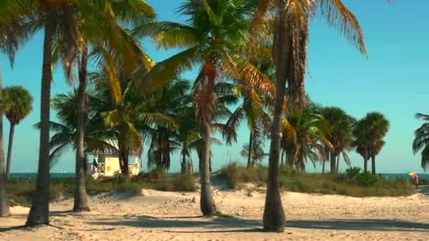 Volleybalwedstrijd Crandon Park Miami Florida — Stockvideo