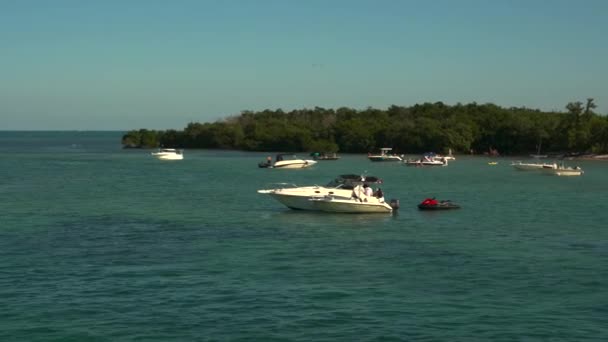 迈阿密人乘船游览Key Biscayne — 图库视频影像