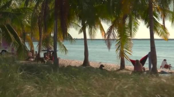 Miami Sakinleri Key Biscayne Plajında Ocak 2020 — Stok video