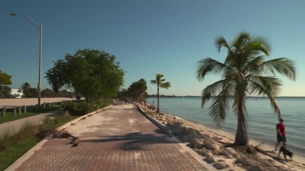 Miami Key Biscayne Gångväg Vid Stranden — Stockvideo