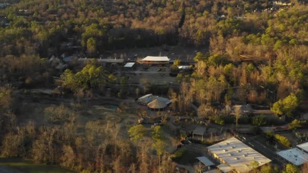 Zoo Birmingham Alabama Usa — Stockvideo