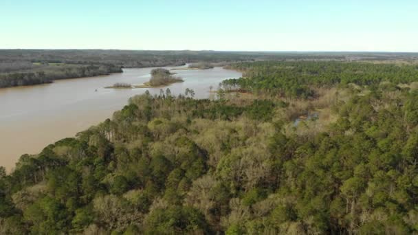 Paysage Louisianais Avec Drone Lakepoint Park — Video