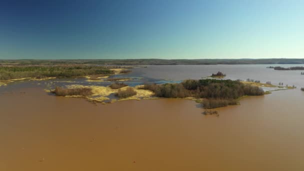 Aerial Video Alabama Brown Water Murky Swamp — Stock Video