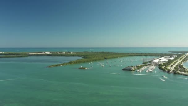 Virginia Key Miami Florida Key Biscayne — 图库视频影像