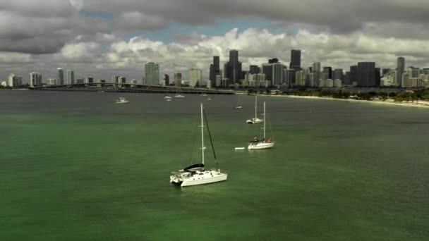 Beautiful Aerial Clip Sailboats Bay Miami Usa — Stock Video