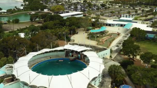 Miami Seaquarium Key Biscayne Florida — Stock video