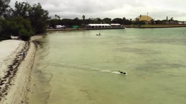 Hund Hämta Leksak Havet Vatten Antenn Video — Stockvideo