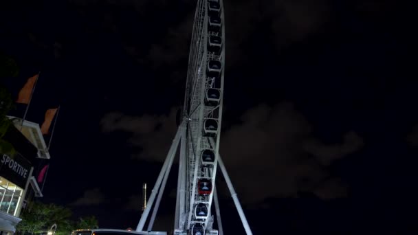 Imágenes Nocturnas Skyviews Miami Ferris Rueda Bayside Marketplace — Vídeo de stock