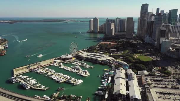 Letecké Video Bayside Sky Views Wheel Downtown Miami Usa — Stock video