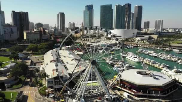 Sky Views Wheel Miami Aerial — Vídeos de Stock