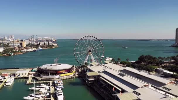 Sky Views Miami Wheel Aerial Drone Video — Video