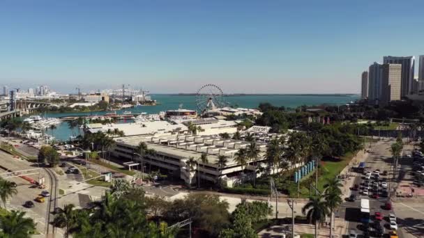 Aerial Downtown Miami Skyviews Óriáskerék Bayside Marketplace — Stock videók