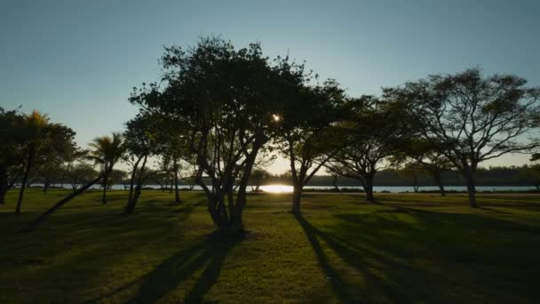 日没長い木の影でザ 公園歩いて進むFpvフッテージ — ストック動画