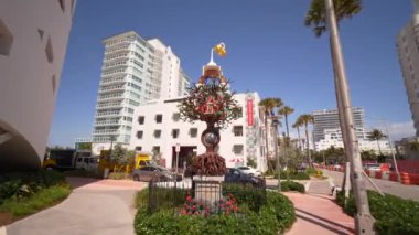 Faena Hayat Ağacı Miami Sahili Sanatı.
