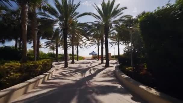 Polizei Riegelt Miami Beach Ausbreitung Des Coronavirus Covid Stoppen — Stockvideo