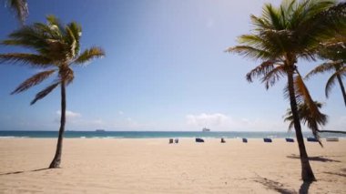 Fort Lauderdale FL sahilindeki palmiyeleri sökün.