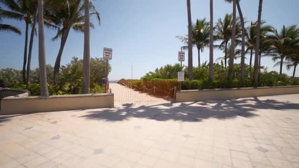 Coronavirus Covid Plaj Kapanışı Miami — Stok video