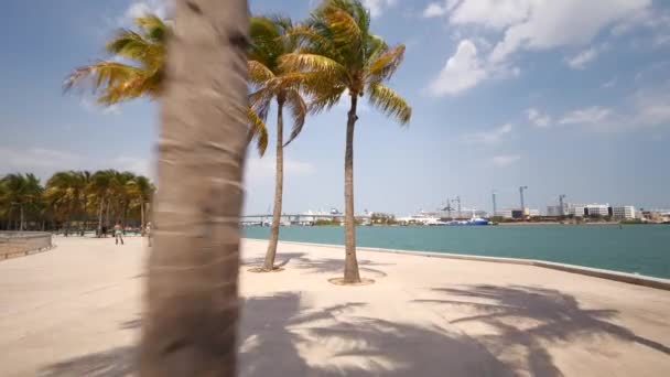 Miami Bayfront Parque Movimento Vídeo Tour Março — Vídeo de Stock