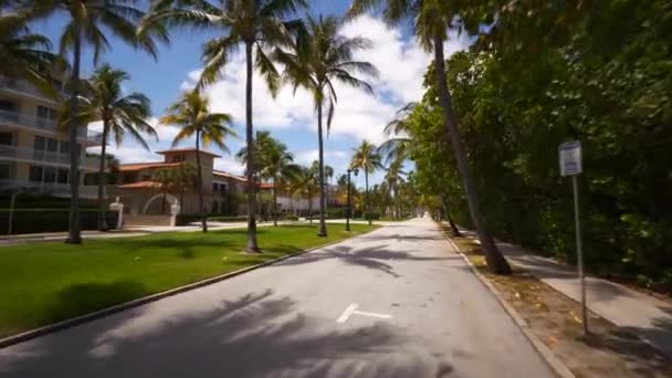 Royal Palm Way West Palm Beach — Stock video