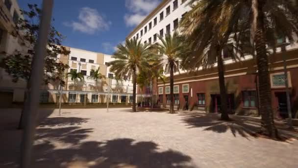 Edificio Del Ayuntamiento West Palm Beach Revelar — Vídeo de stock