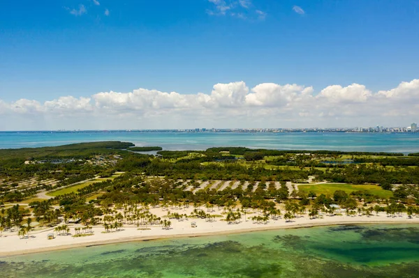 Prachtige Foto Crandon Park Miami Key Biscayne — Stockfoto