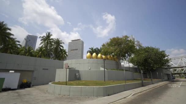 Huevos Oro Escondidos Ciudad Downtown Miami — Vídeo de stock