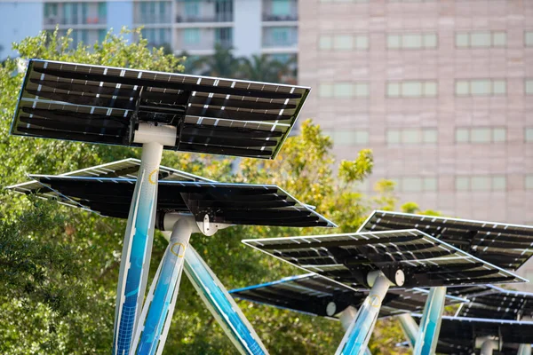 Fpl Árvores Energia Solar Downtown Miami — Fotografia de Stock