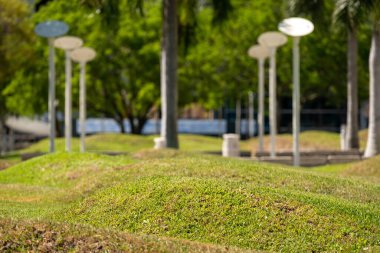 Şehir parkında yeşil bahçe çimenleri