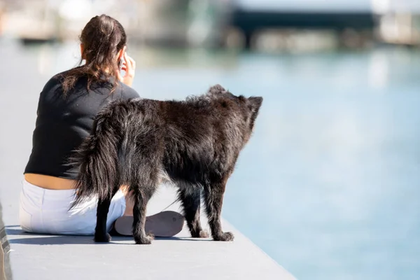 水のそばに座っている所有者と犬 — ストック写真