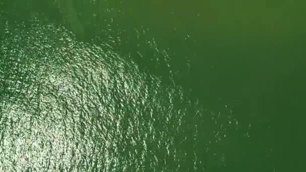 Aerial Overhead Skott Daytona Beach Piren — Stockvideo