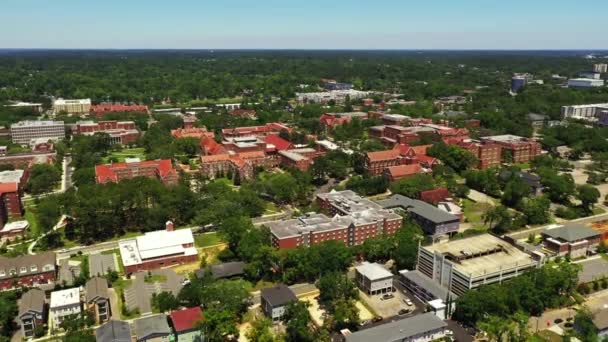 Drone Aereo Video Fsu Florida State University Campus Tallahassee — Video Stock