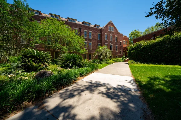 Gartenlandschaft Des Campus Der Florida State University — Stockfoto
