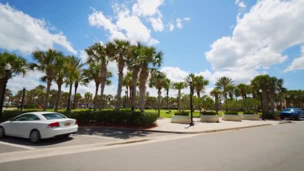 Rörliga Bilder Jacksonville Beach Park — Stockvideo