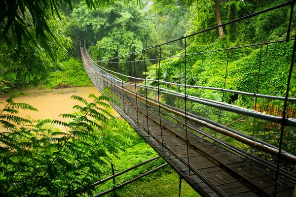 Asma köprü Chiang Mai yakınındaki ormanda — Stok fotoğraf