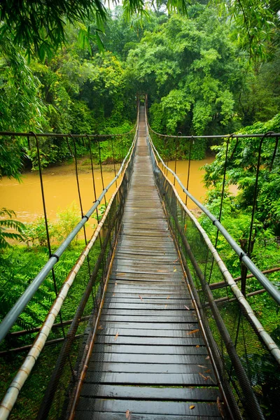 Vista vertical de un puente colgante en la selva cerca de Chiang M — Foto de Stock